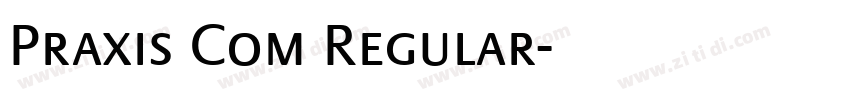 Praxis Com Regular字体转换